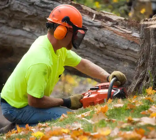 tree services Tipp City